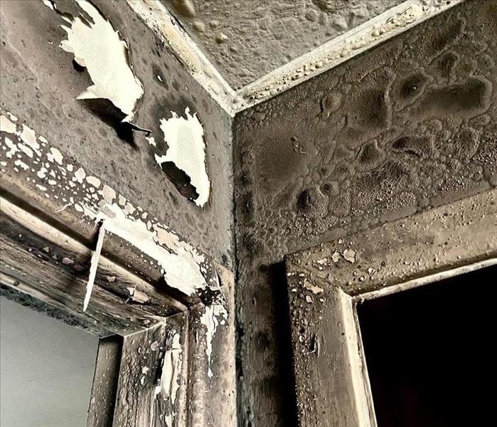 fire damaged apartment ceiling corner with burnt and charred paint and debris
