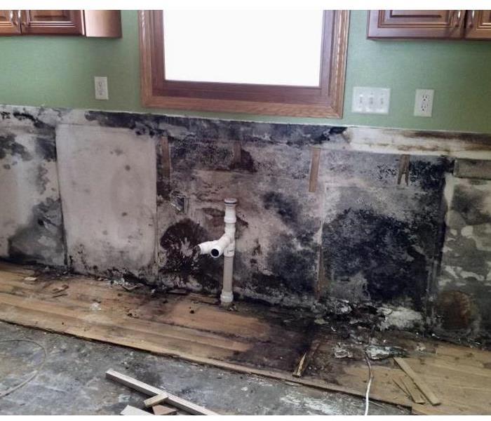 a kitchen with lower cabinets removed to reveal extensive mold growth 