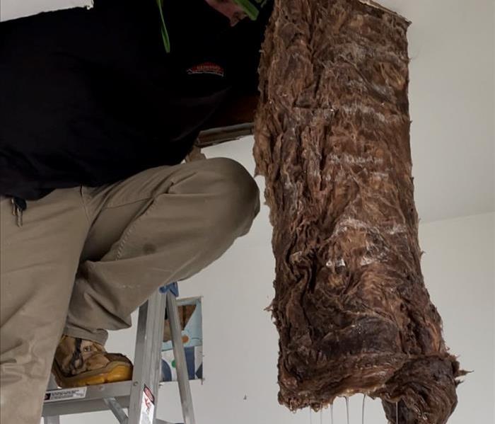 a servpro technician in servpro ready uniform on a ladder accessing a water damaged ceiling with saturated insulation 