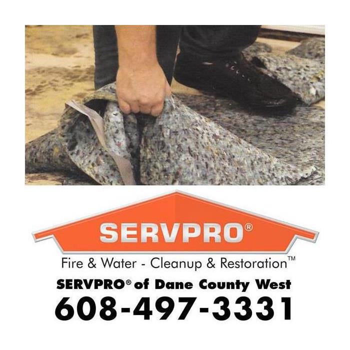 a servpro service technician pulling up a water damaged carpet pad 
