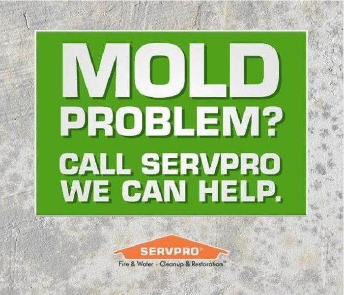 title says "mold problem? We can Help. Call SERVPRO of Dane County West. 