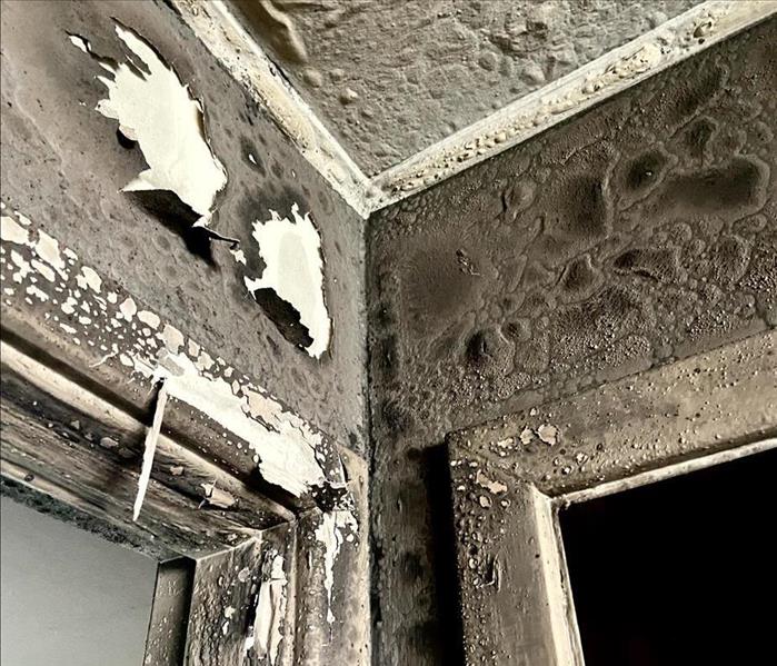 fire damage in Madison, WI, extreme heat from fire damaged paint with bubbling of paint on the ceiling and walls of this room