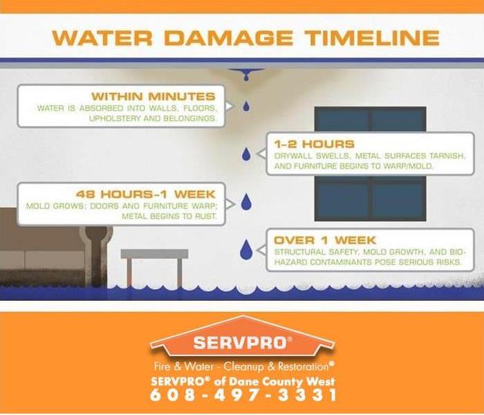 a graphic depiction of the water damage  time line from immediate to 1 week damage
