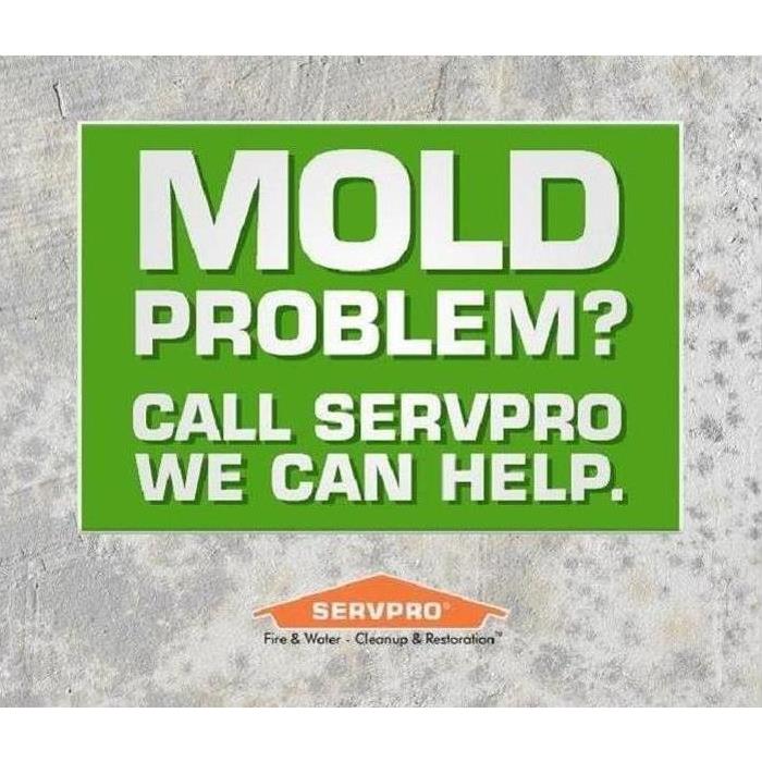 black mold spores with title that says "Mold Problem? Call SERVPRO, we can help